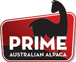 Prime Australian Alpaca Logo